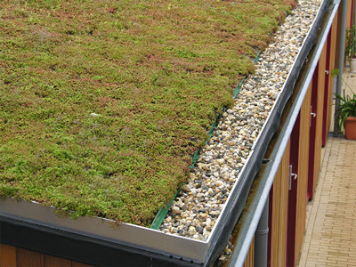 Green roof