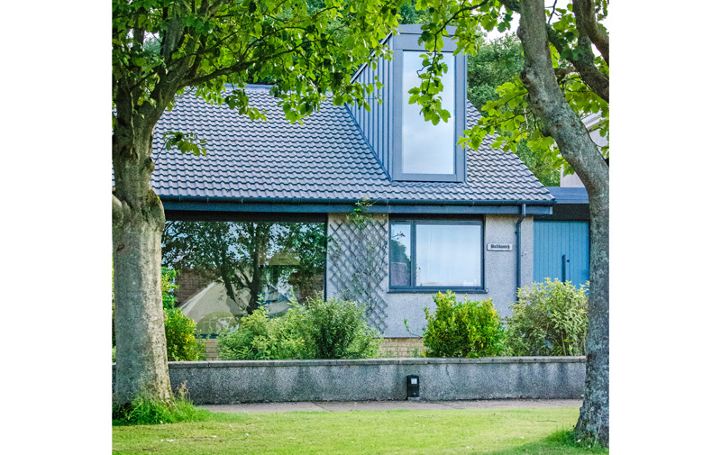Upward-and-Outward-front-of-house-large-windows-to-maximise-light-from-the-street-overshaddowed-by-plane-trees.jpg